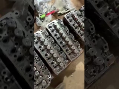 Młody gwiazdor TD27