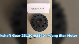Hyundai Getz Koło zębate wału korbowego 23120-02570 SILNIK MŁODY GWIAZDOWY